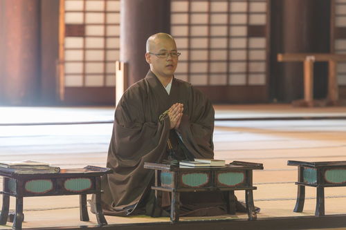 淳淳教诲还是谆谆教诲的拼音，淳淳教诲还是谆谆教诲谆谆教诲