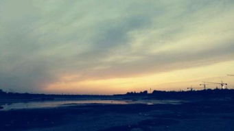 千里犹回首柳惜过，千里犹回首百度云