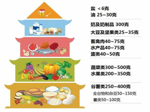 请谈谈什么是合理营养,并简单举例说明?