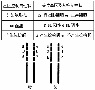交叉互换的概念，交叉互换属于染色体变异吗