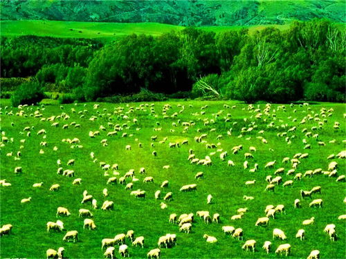 骑在羊背上的国家和世界第二大人口大国分别是，骑在羊背上的国家是哪个国家