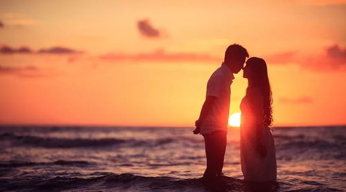 无所不至是贬义词吗，无所不至和无微不至的区别