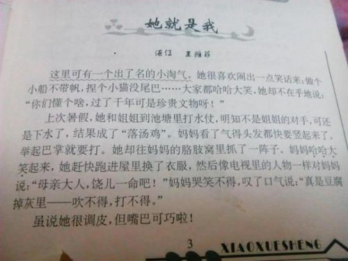 什么的自述的小学作文