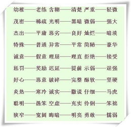 “高”的反义词是什么?