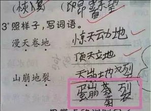 书到用时方恨少作文1000字，书到用时方恨少作文800