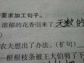 好奇近义词二年级下册，好奇的近义词是什么词