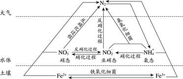 人工固氮的意义，人工固氮和自然固氮化学方程式
