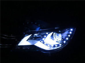 泪眼什么什么成语梅花魂，成语泪眼什么什么