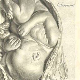 servants中文翻译