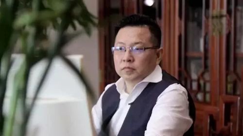 臻于什么意思，臻于完美的意思