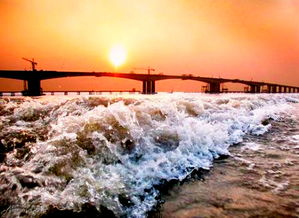 潮汛和潮汐的资料