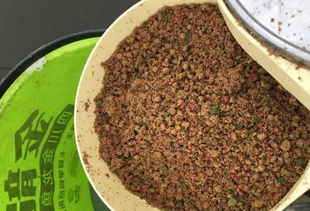 饵的拼音，饵料挂钩一进水就没了