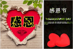 感恩的作文800字高中记叙文，关于感恩的作文300字