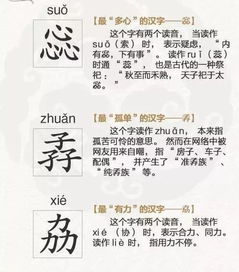 诞生的拼音是什么?，诞生的拼音和组词