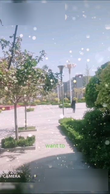 我的校园作文600字，我的校园作文500字