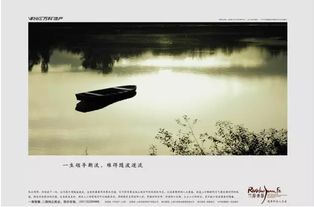 循规蹈矩随波逐流的意思，随波逐流的意思和造句