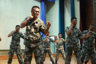 军中乐园，军中茅台53度多少钱一瓶