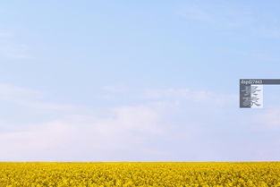 美好景象图片库，美好景象怎么写