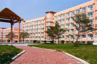 北华大学在哪个区