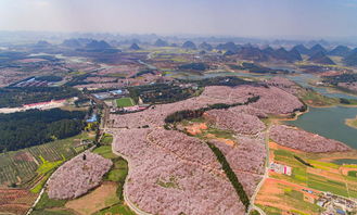 贵州平坝天气预报逐时播报，贵州平坝县天气
