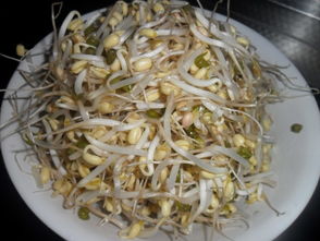 清炒小豆芽怎么炒好吃?