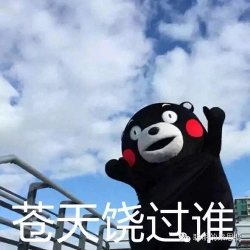 有谁知道《我终于明白》这首歌的歌词