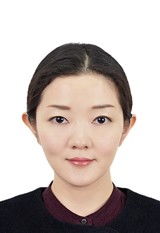 赵书是什么意思