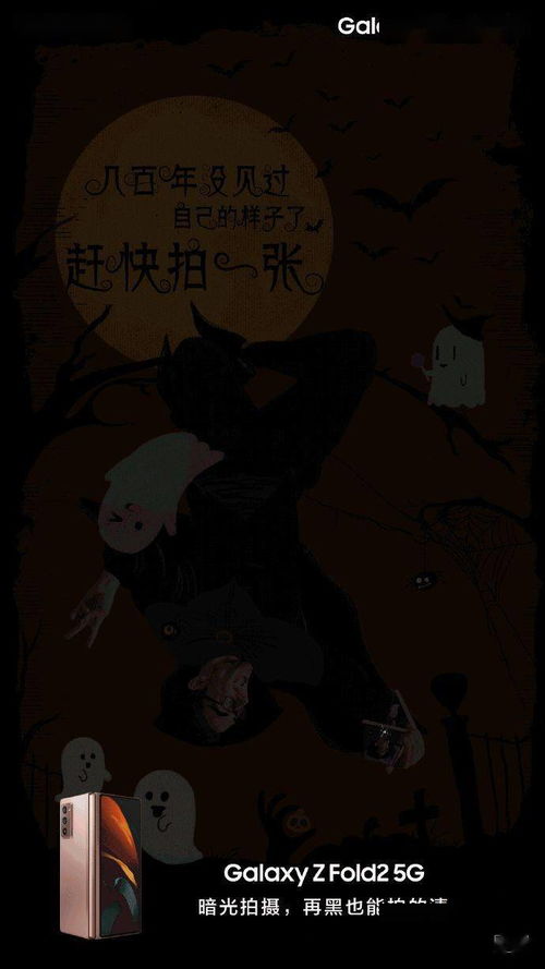 什么鬼当家动物，什么鬼当家打个生肖