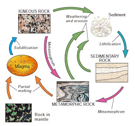 鲍文反应序列图，鲍文反应序列连续反应