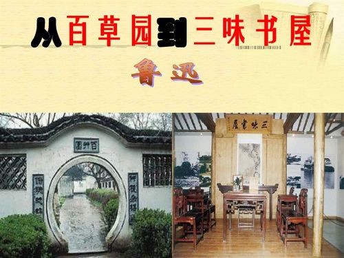 《从百草园到三味书屋》原文是什么?