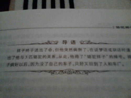 骆驼祥子第三章主要内容概括