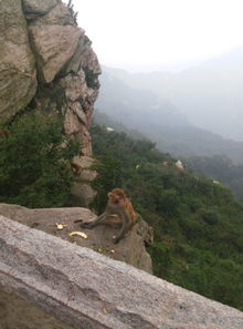 《西游记》里的花果山在哪里