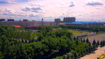 我的校园优秀作文