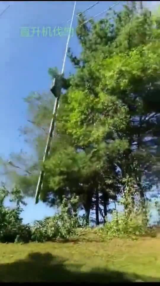 伐树时,需要几个步骤?