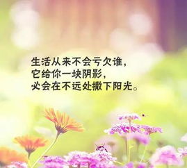 清新脱俗的句子