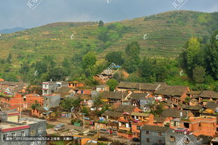 田园人家红包版，田园人家2023红包版下载