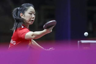 张安疆，张安世