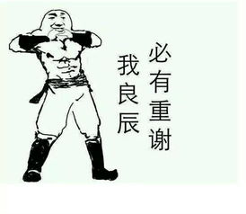 良辰是什么意思