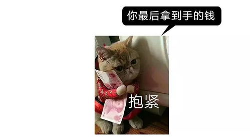 唰的拼音，唰唰的意思