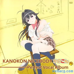 狐狸精歌词是什么意思，狐狸精歌曲歌词