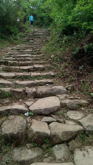 谁知道“龙游浅水遭虾戏,虎落平阳被犬欺”这句诗的出处?