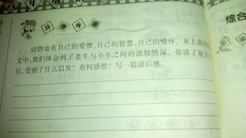 小学二年级写事作文250字一件快乐的事