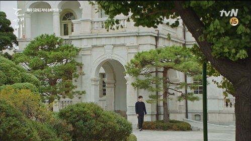 谁了解洋馆事件的内幕和全过程?