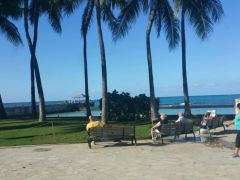 H0N0LULU 手表中有这行字母是什么?