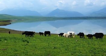 张掖天气肃南天气预报7天张掖天气