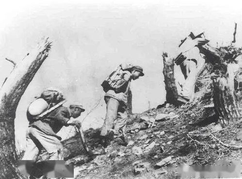 抗美援朝的英雄事迹100字，抗美援朝的英雄事迹简短30字