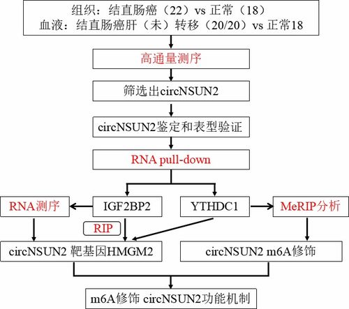 communication可数吗0，communication可数吗955151