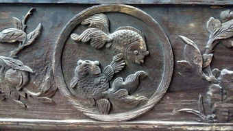 奇珍异宝什么意思?