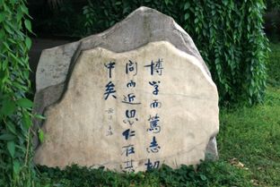 博学而笃志,切问而近思,仁在其中矣的意思是什么?