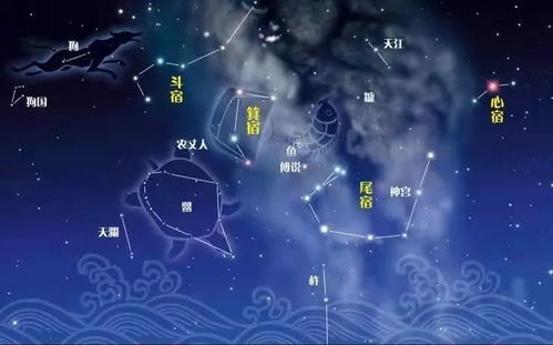 需要星座的故事快快快!